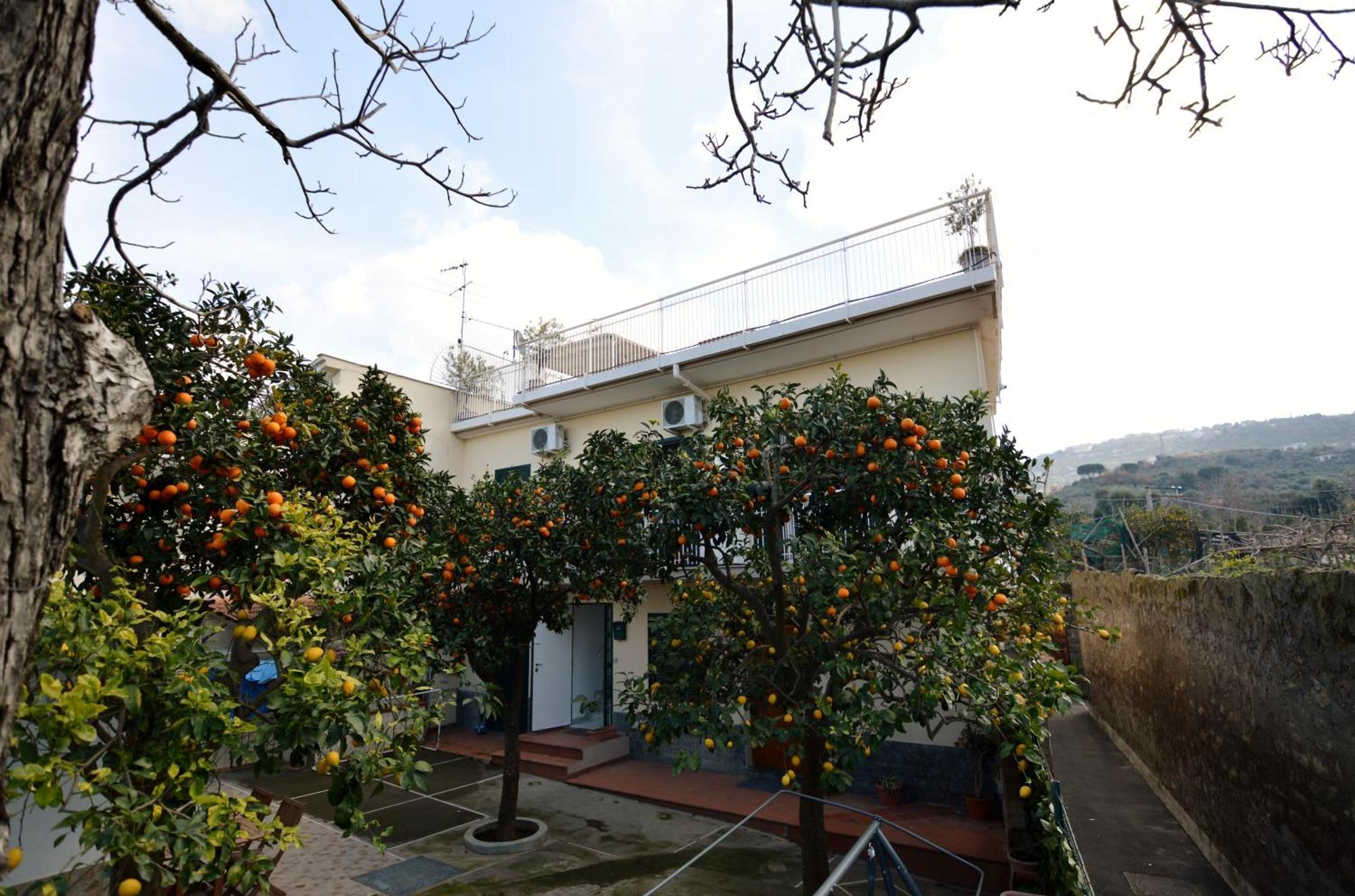 La Terrazza Family Holidays - Sorrento Coast 圣安吉洛 外观 照片