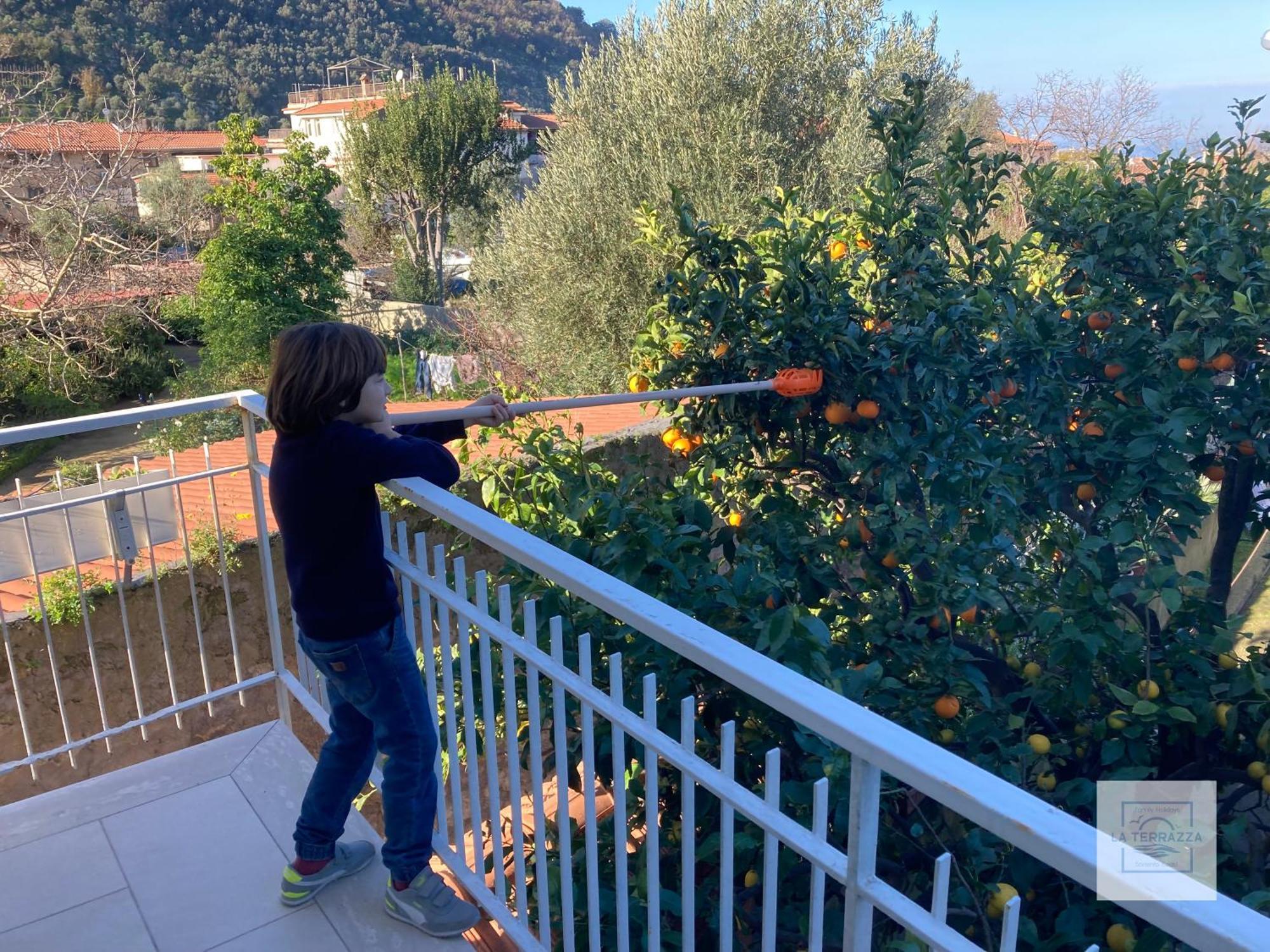 La Terrazza Family Holidays - Sorrento Coast 圣安吉洛 外观 照片